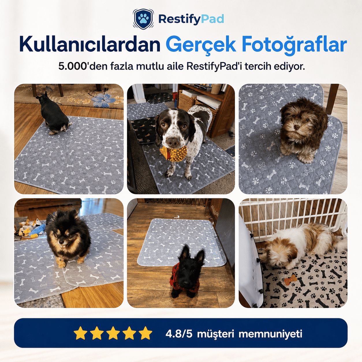 RestifyPad™ — Köpeğinizi Eğitmenin Akıllı Kısayolu