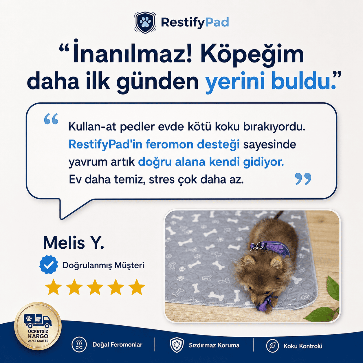 RestifyPad™ — Köpeğinizi Eğitmenin Akıllı Kısayolu